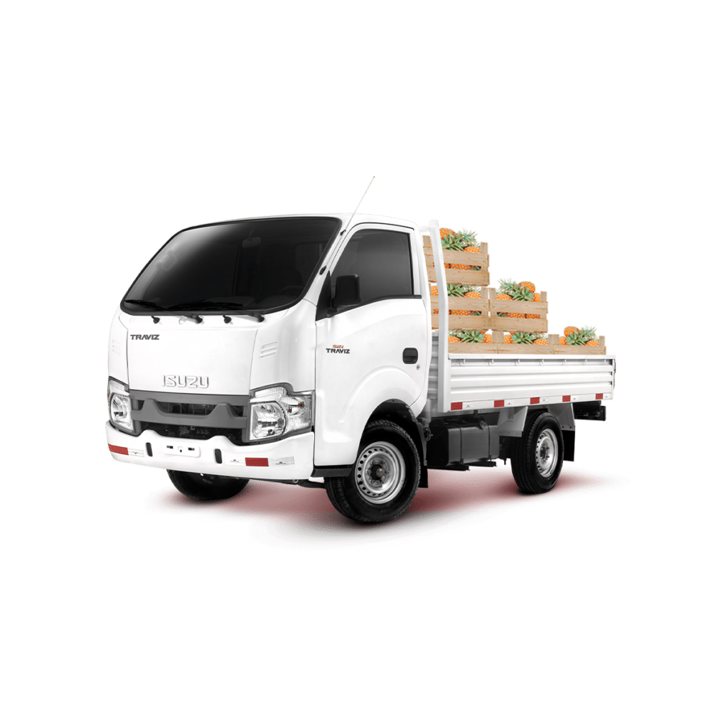 TRAVIZ | Isuzu De Canella